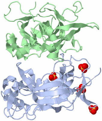 Image Biological Unit 4