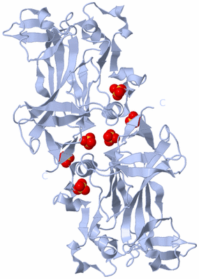 Image Biological Unit 5