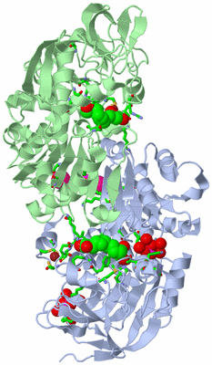 Image Asym./Biol. Unit - sites