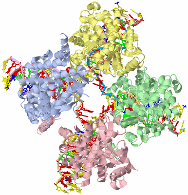 Image Asym./Biol. Unit