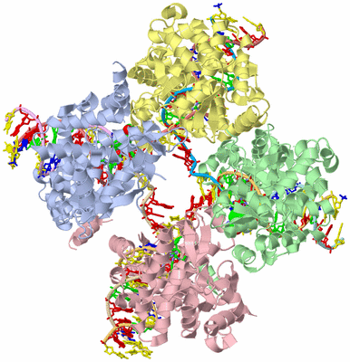 Image Asym./Biol. Unit - sites