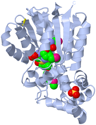 Image Biological Unit 1