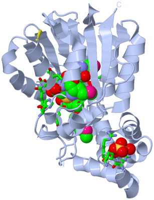 Image Biol. Unit 1 - sites