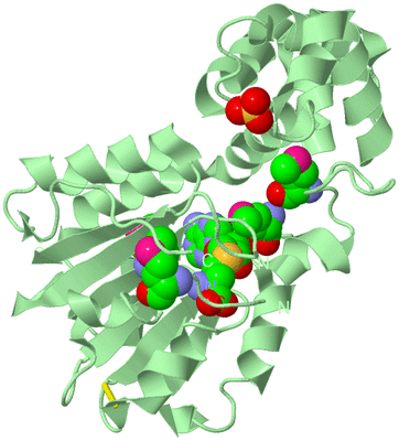 Image Biological Unit 2