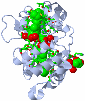 Image Biol. Unit 1 - sites