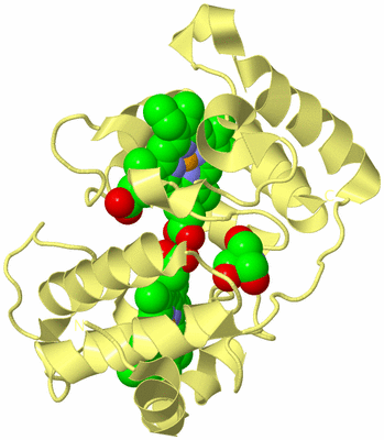 Image Biological Unit 4