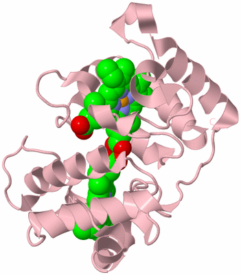 Image Biological Unit 3