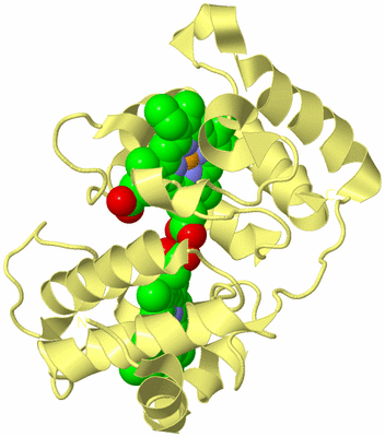 Image Biological Unit 4