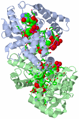 Image Asym./Biol. Unit - sites