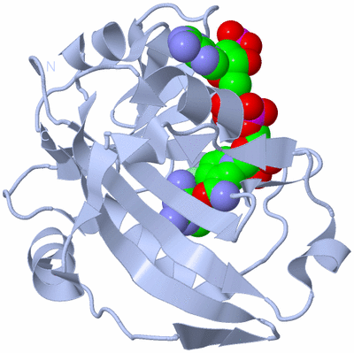 Image Biological Unit 1