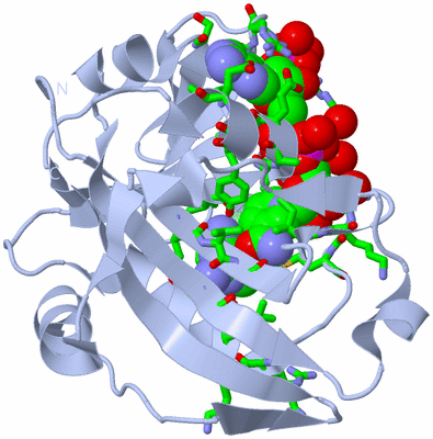 Image Biol. Unit 1 - sites