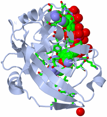 Image Biol. Unit 1 - sites