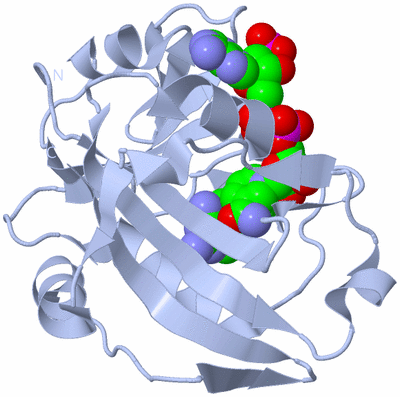 Image Biological Unit 1