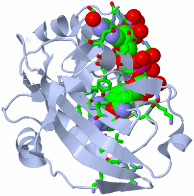 Image Biol. Unit 1 - sites