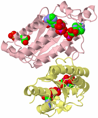 Image Biological Unit 2