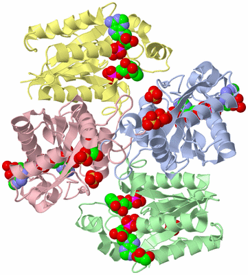 Image Biological Unit 3