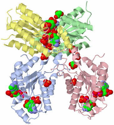 Image Biological Unit 4