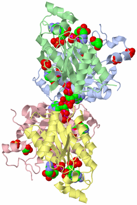 Image Biological Unit 5