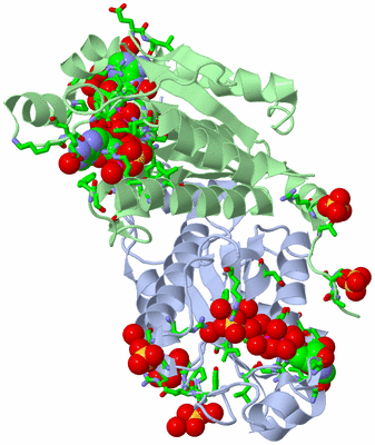 Image Biol. Unit 1 - sites