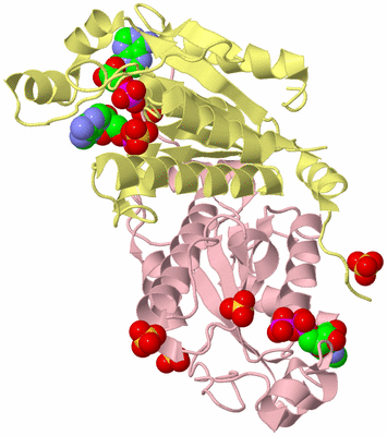 Image Biological Unit 2