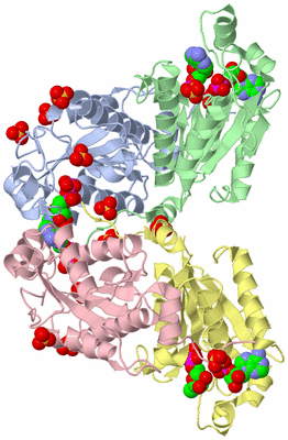 Image Biological Unit 3