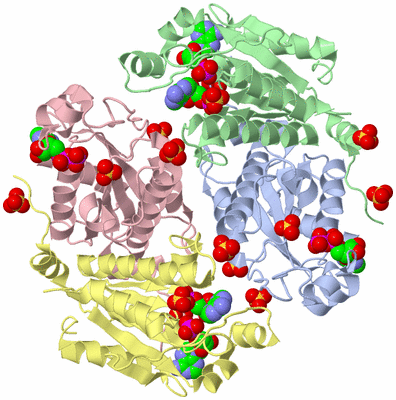 Image Biological Unit 4