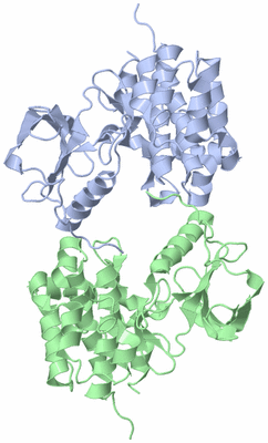 Image Asymmetric Unit