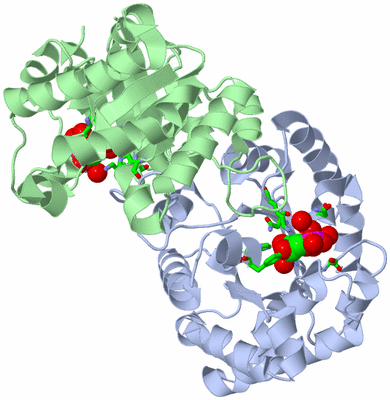 Image Asym./Biol. Unit - sites