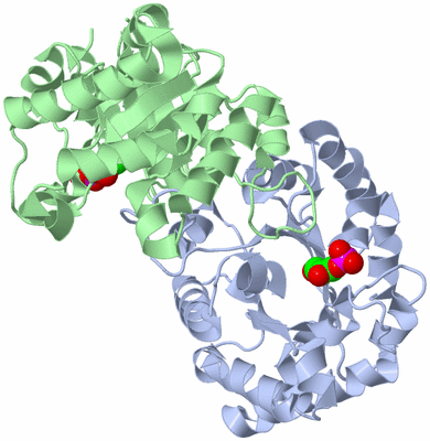 Image Asym./Biol. Unit