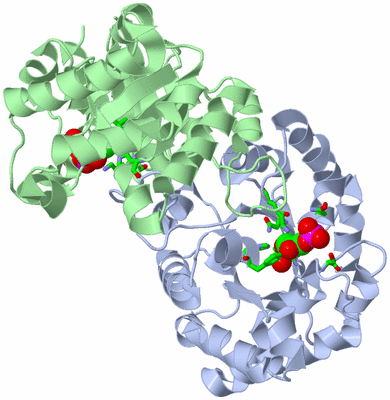 Image Asym./Biol. Unit - sites