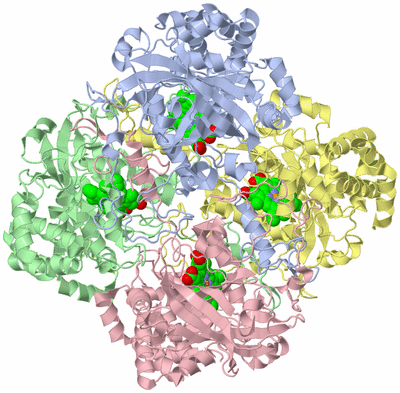 Image Asym./Biol. Unit