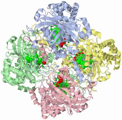 Image Asym./Biol. Unit - sites