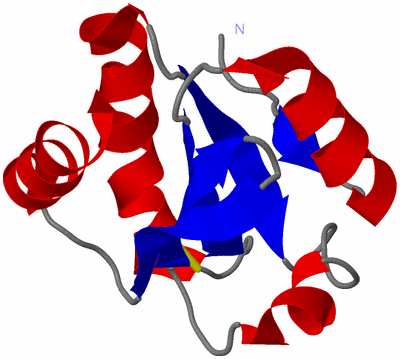 Image NMR Structure - model 1