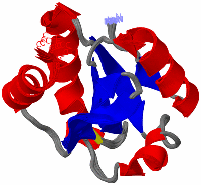 Image NMR Structure - all models