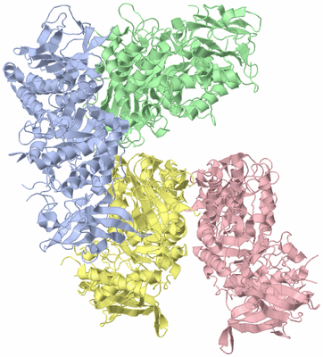 Image Asymmetric Unit