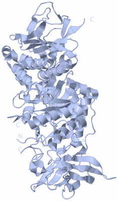 Image Biological Unit 1