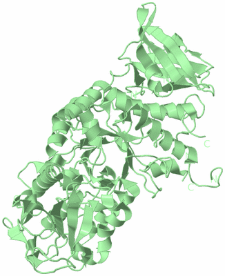 Image Biological Unit 2