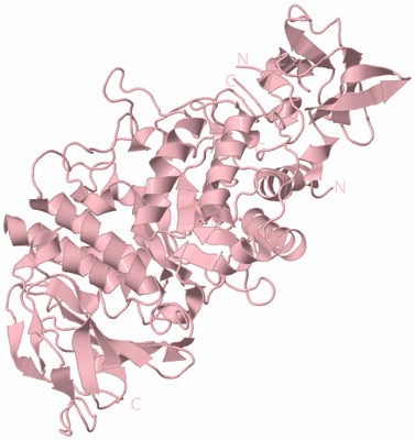 Image Biological Unit 3