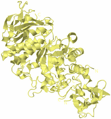 Image Biological Unit 4