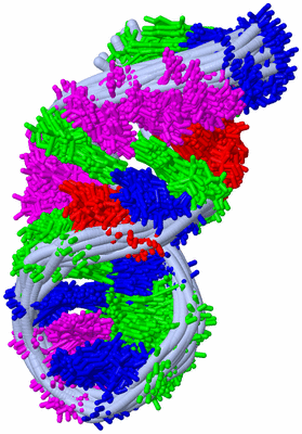 Image NMR Structure - all models