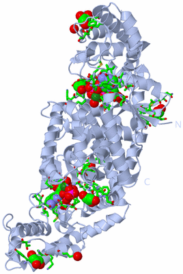 Image Biol. Unit 1 - sites