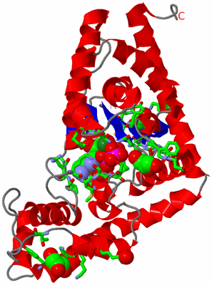 Image Asym. Unit - sites