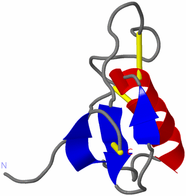 Image NMR Structure - model 1