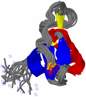 Image NMR Structure - all models