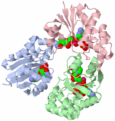 Image Biological Unit 2