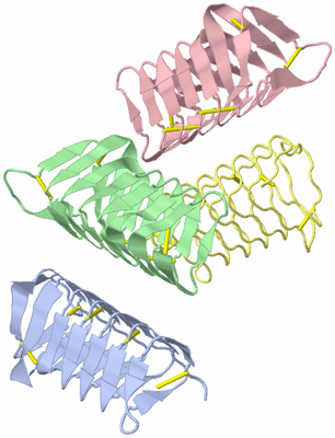 Image Asymmetric Unit