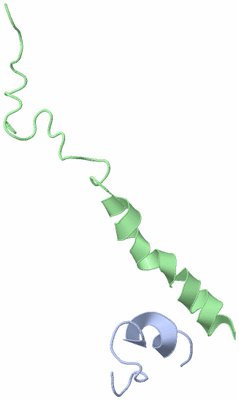 Image NMR Structure - model 1