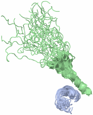 Image NMR Structure - all models