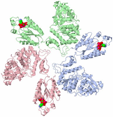 Image Asymmetric Unit