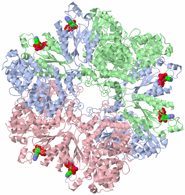 Image Biological Unit 1